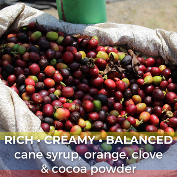 Colombia Huila Pitalito El Bombo Organic